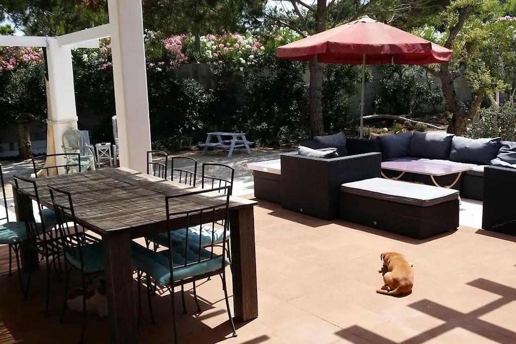 Villa St Tropez Pieds Dans L'Eau Pampelonne Plage Saint-Tropez