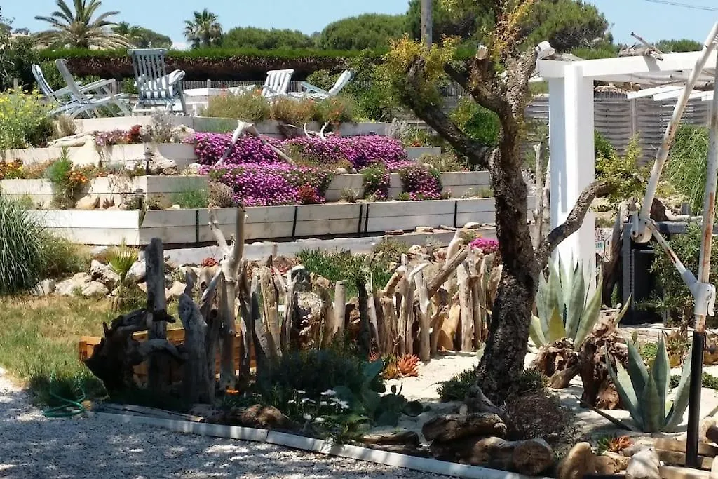 Villa St Tropez Pieds Dans L'Eau Pampelonne Plage Saint-Tropez